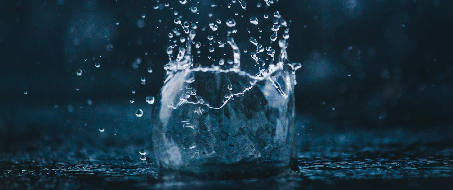 Dispensadores de agua