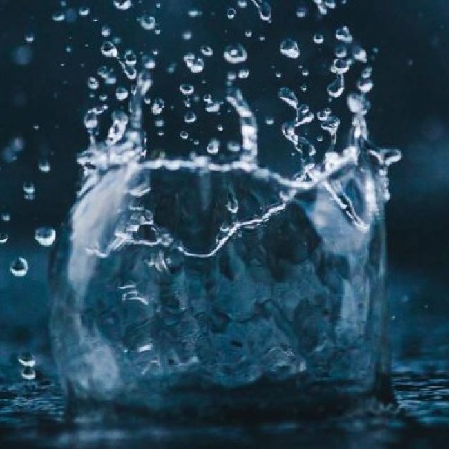 Dispensadores de agua